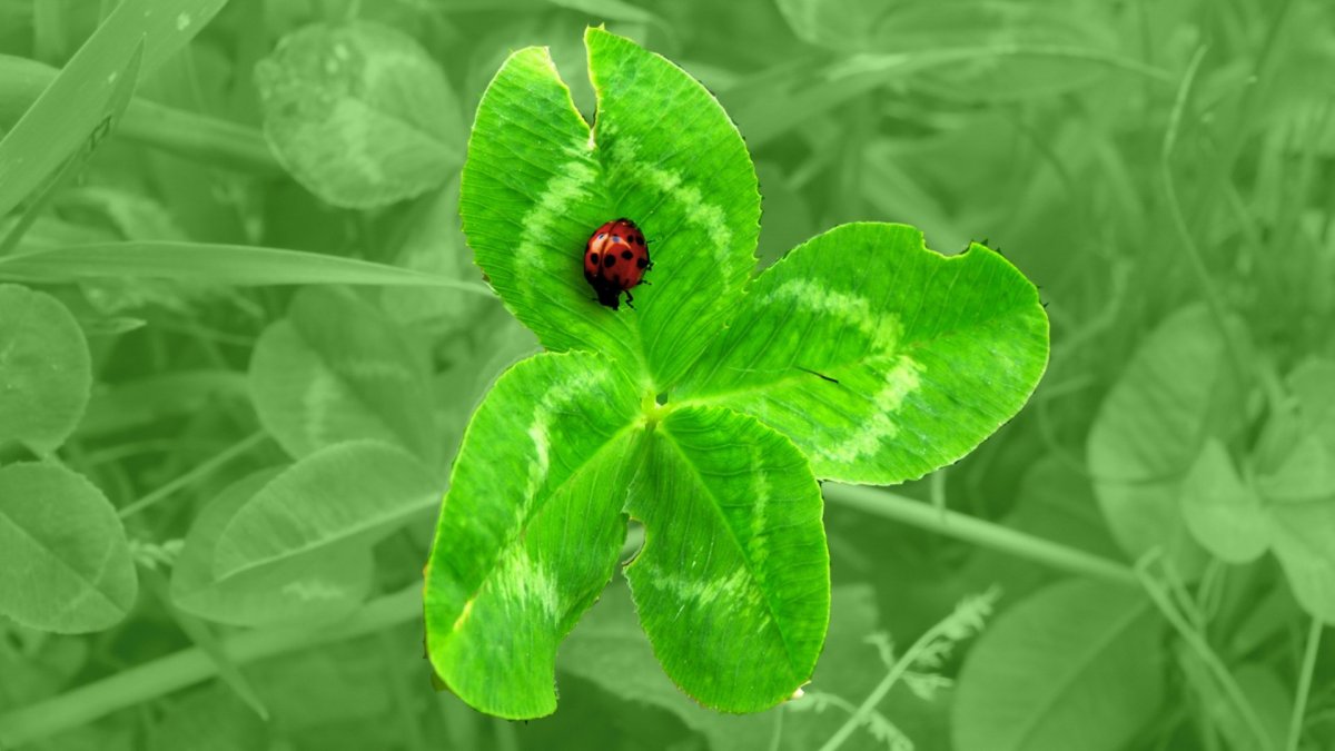 Мандала изобилия