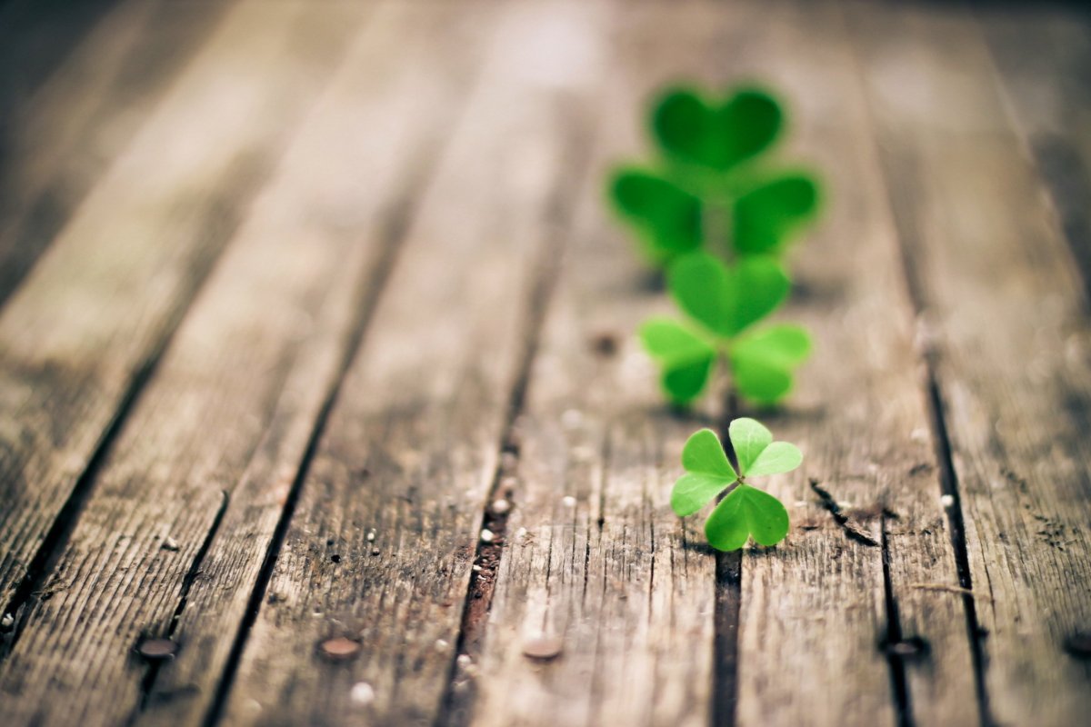 Китайский новый год мандарины