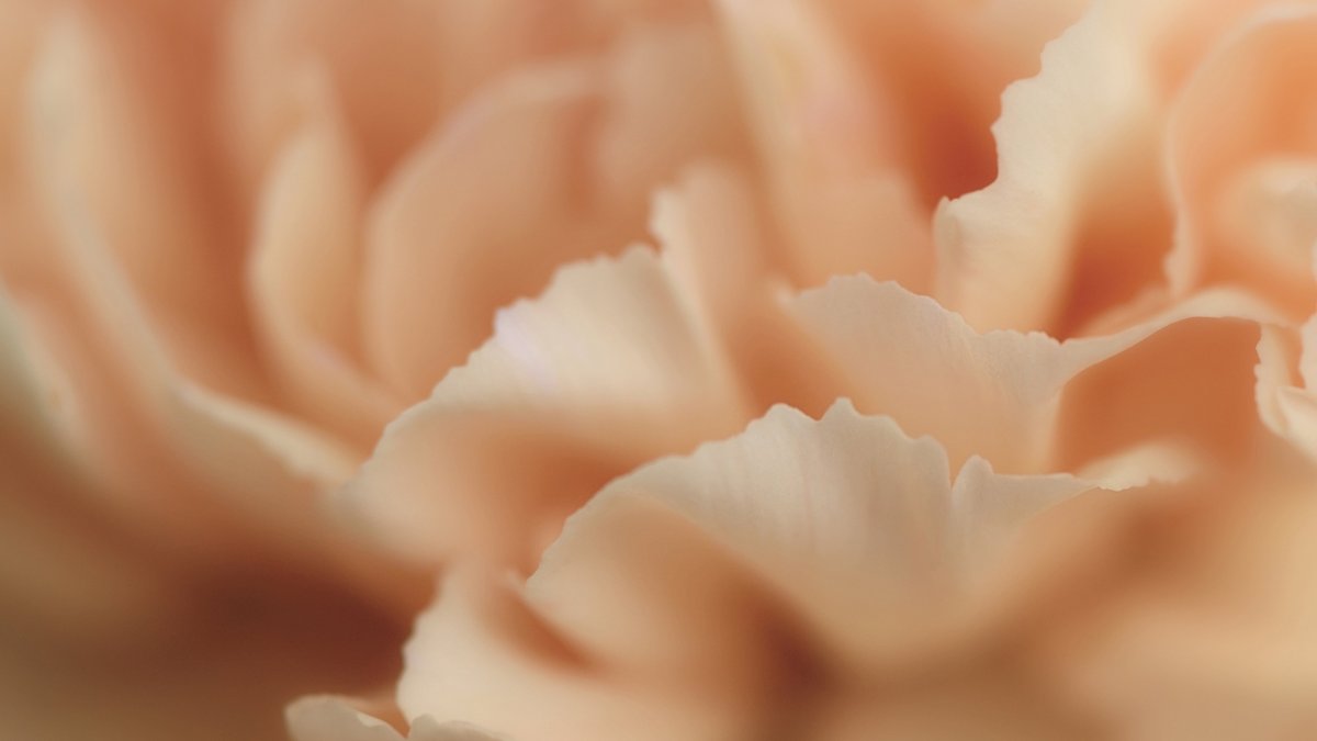 Персиковый фон