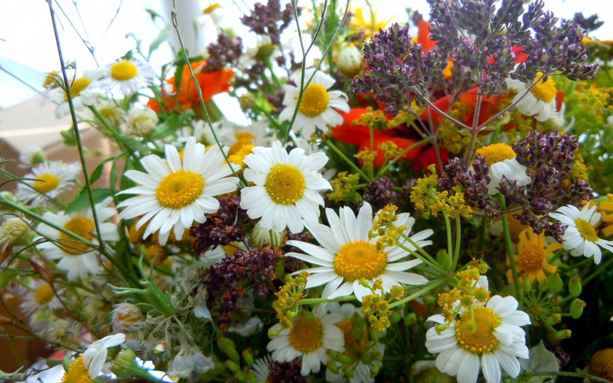 Букет полевых цветов