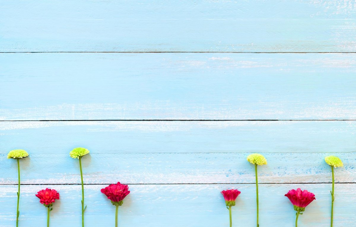 Фото на рабочий стол природа лето