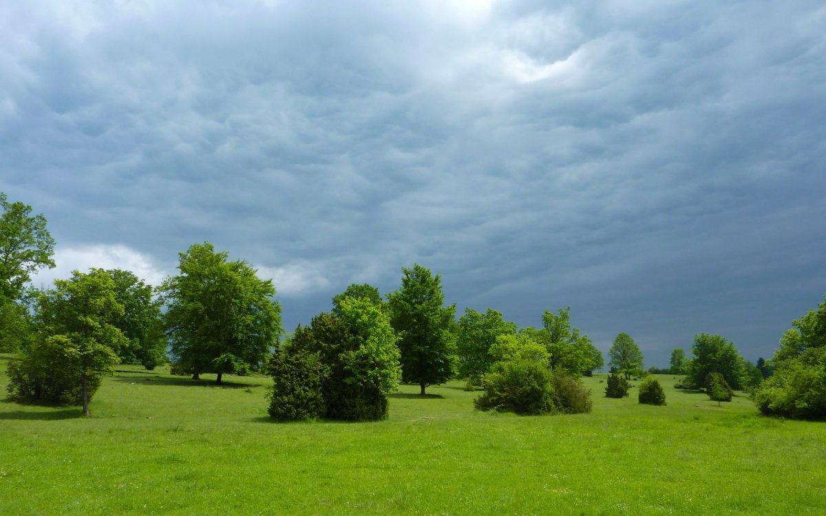 Архитектурная визуализация небоскребов