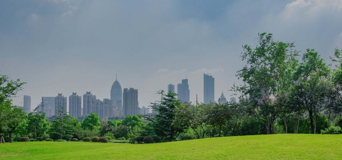 Красивые летние пейзажи