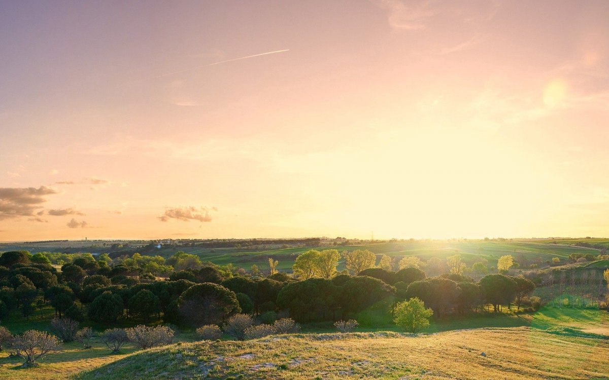 Озеленение и благоустройство территории