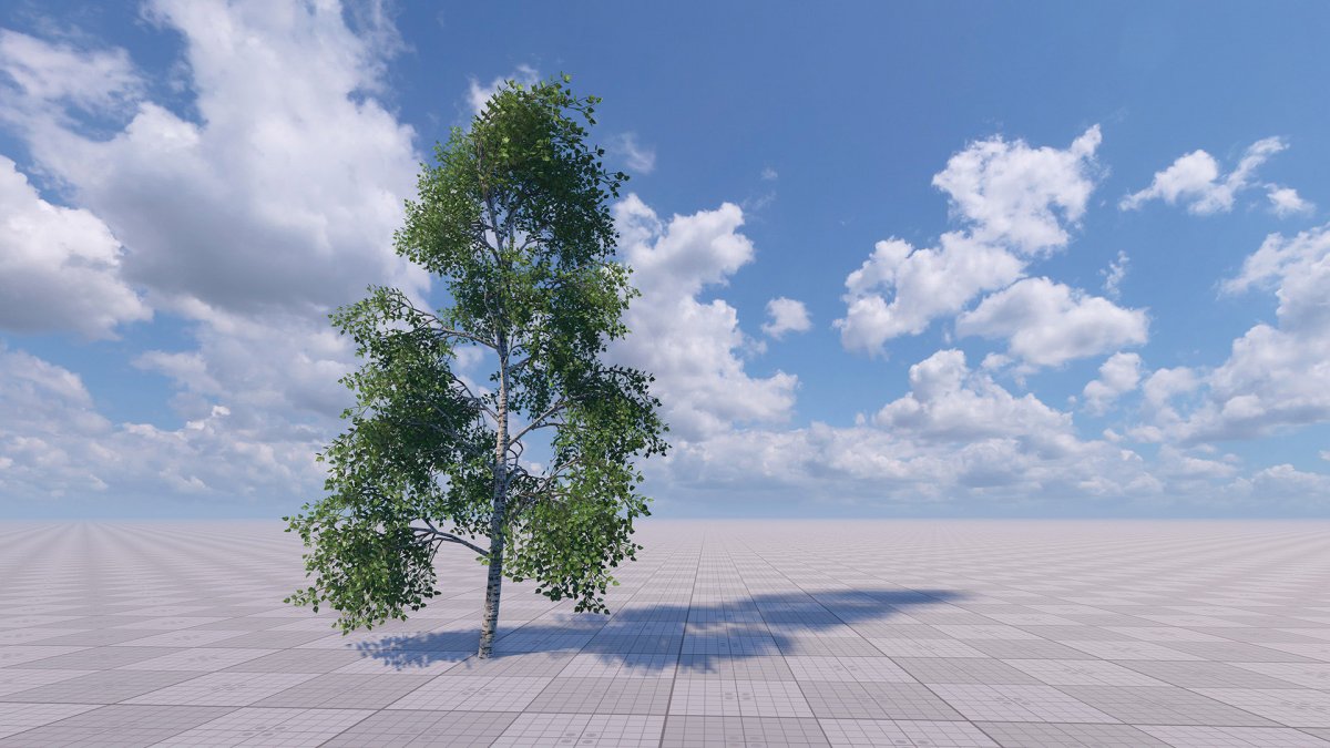 Фон для визуализации природа