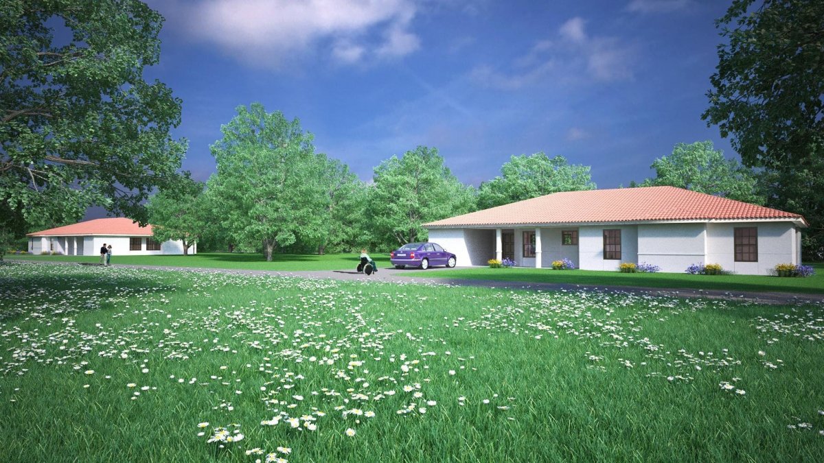 Природа деревья