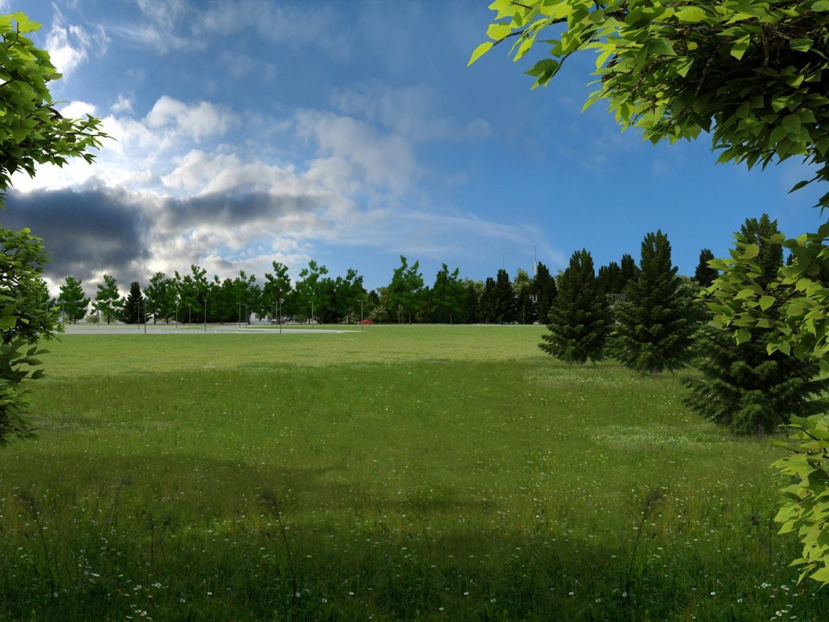 Деревья на горизонте