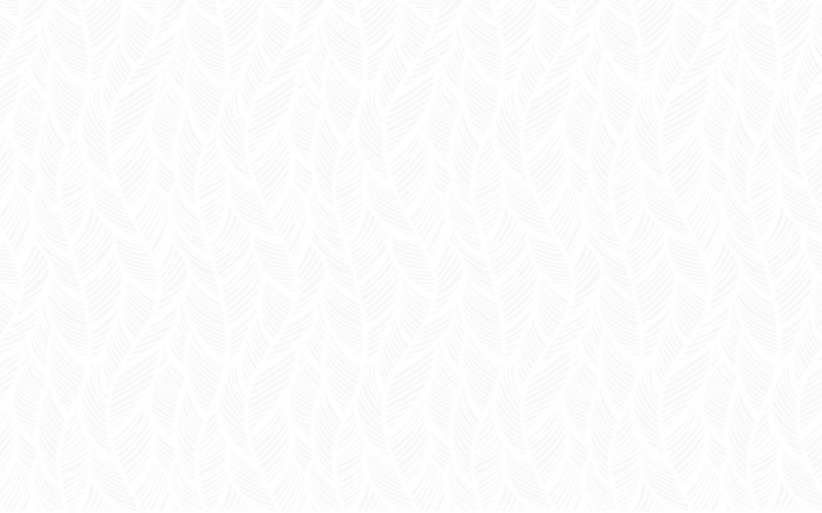 Сплошной белый фон