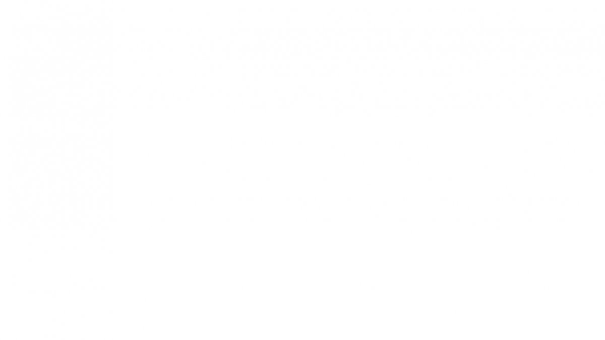 Белый фон без ничего