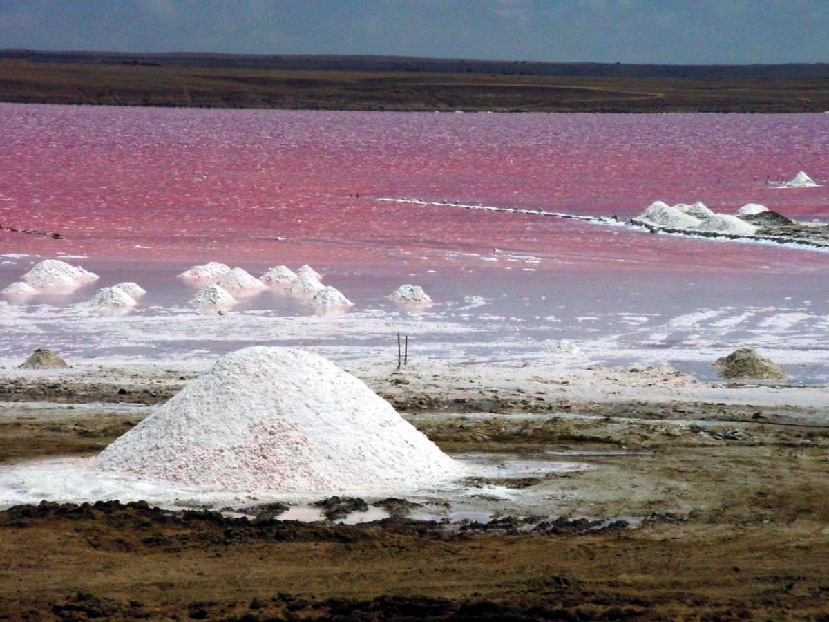 В самых крупных соленых озерах. Озеро Эльтон добыча соли. Соляные купола Баскунчак. Соляные куполы Баскунчак. Розовое озеро Баскунчак.