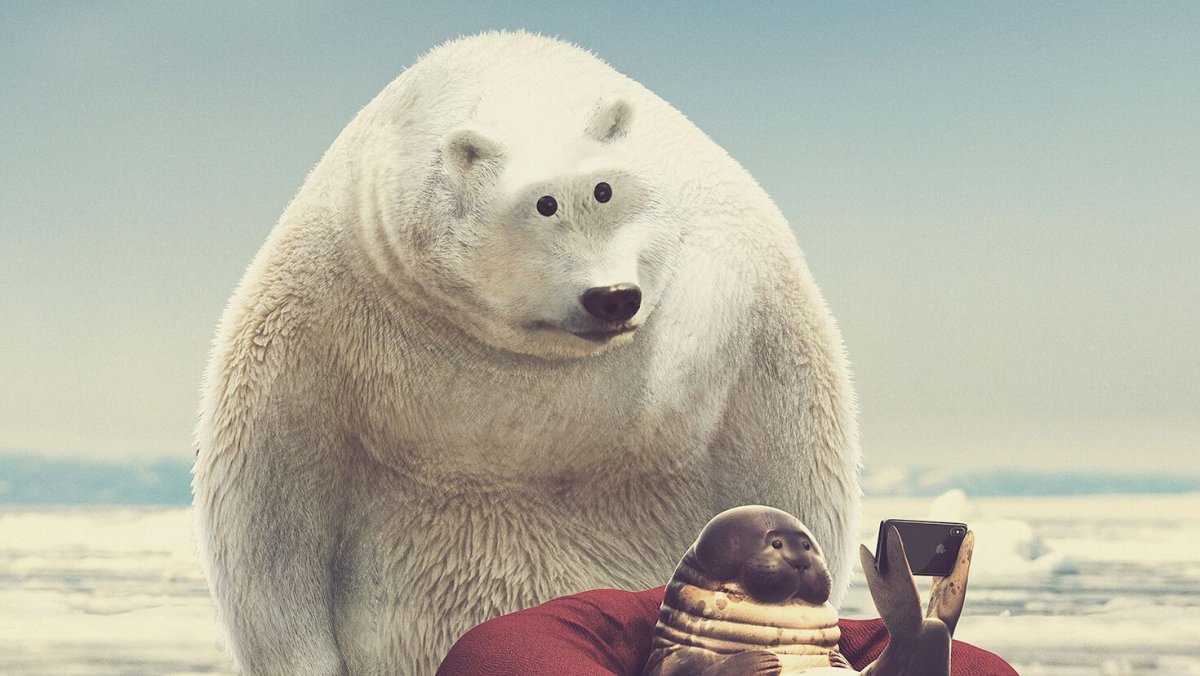 Белый медведь танцует