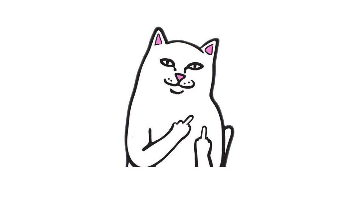 Обои на планшет с мемами