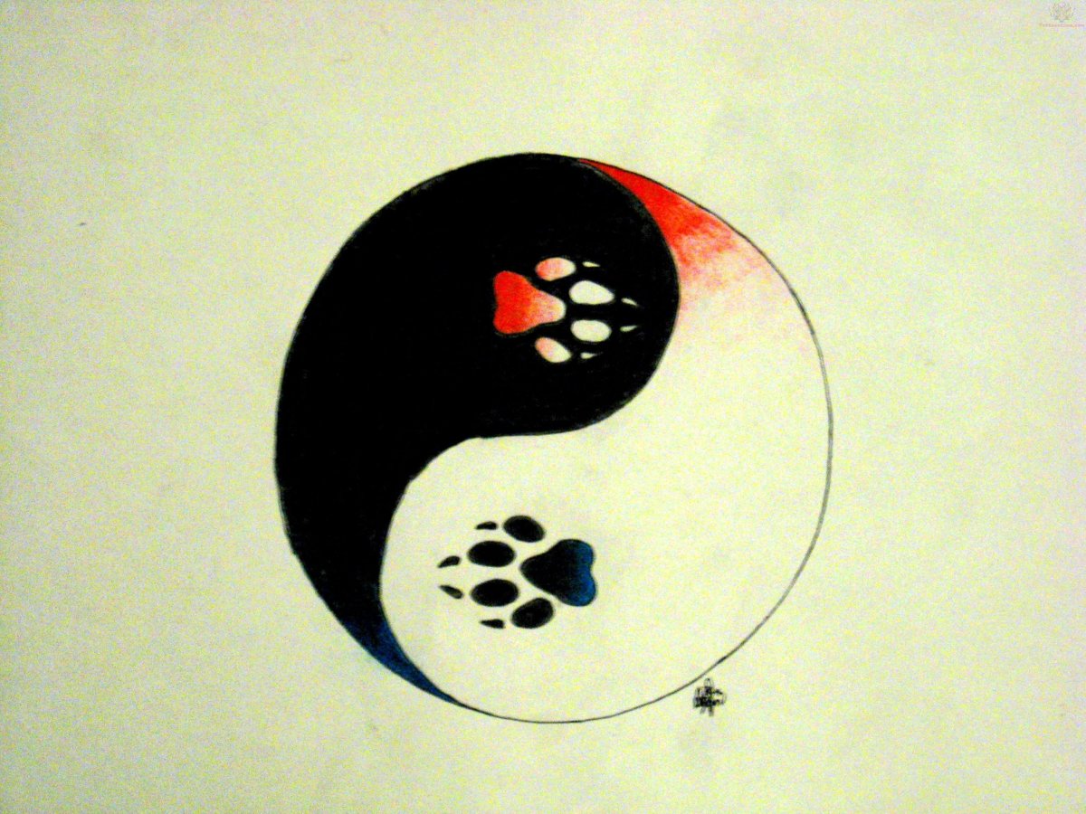 Инь Янь рисунок
