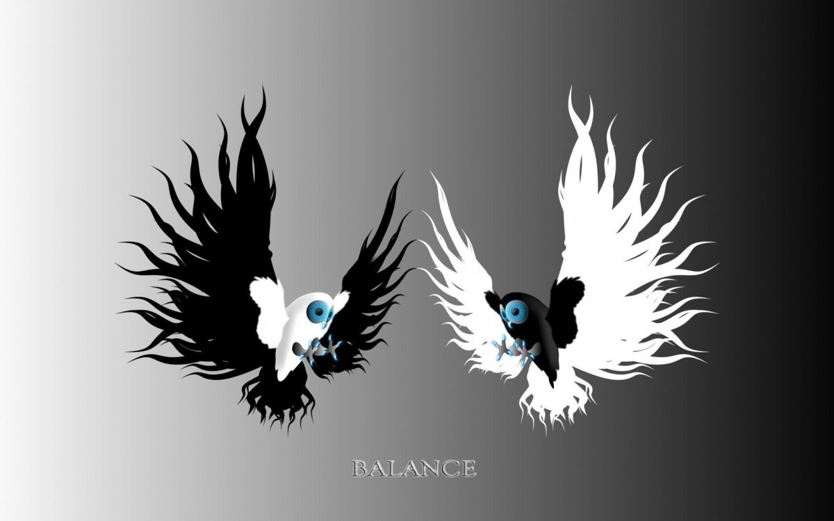 Инь Янь с крыльями