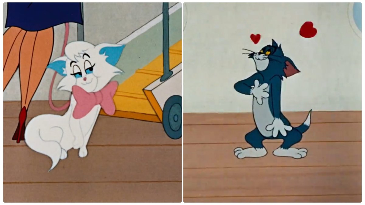 Том и Джерри 37 серия профессор том