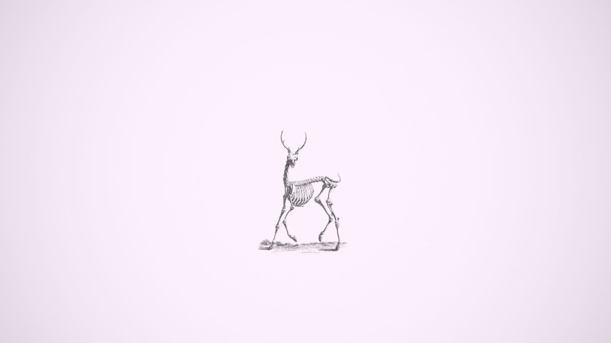 Картинки на рабочий стол Минимализм