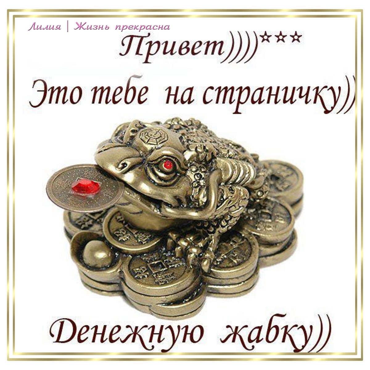 Магнит притягивает деньги