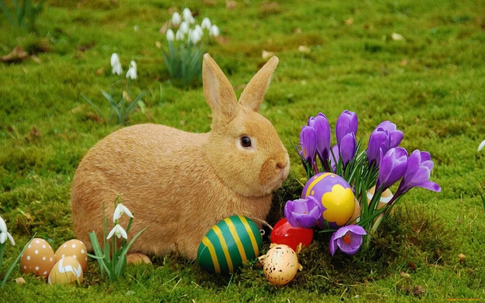 Почему кролик символ пасхи. Пасхальный заяц (Osterhase). Пасхальный кролик Банни. Пасха кролик. Пасхальный заяц с яйцом.