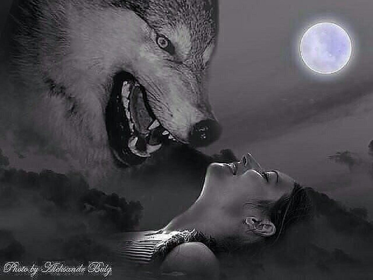 Душа Волка