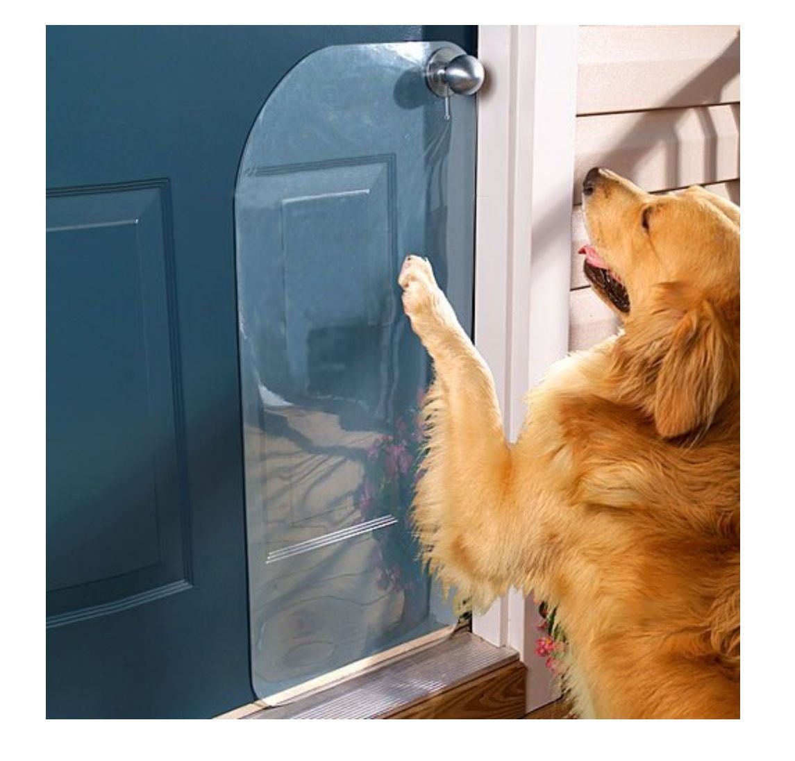 Much easier. Антивандальная накладка на дверь от собак. Антивандальная накладка от животных дверей. Защита двери от когтей собаки. Защита на межкомнатную дверь от собак.