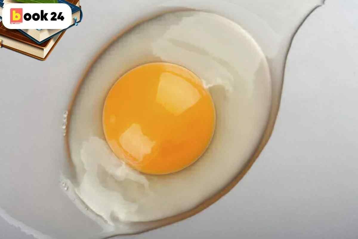 Почему яйца серые. Белок и желток. Белок и желток в яйце. Сырое яйцо. Сырое куриное яйцо.