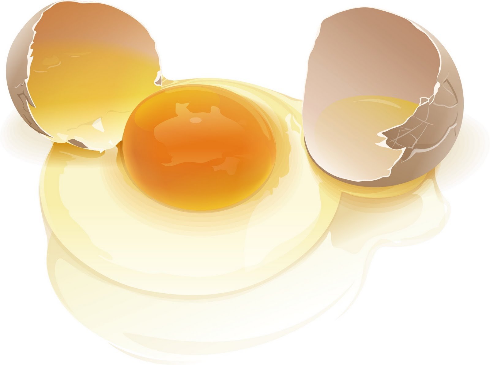 Куриный белок детям. Разбитое яйцо. Яйцо куриное. Яичный желток. Яичный белок.