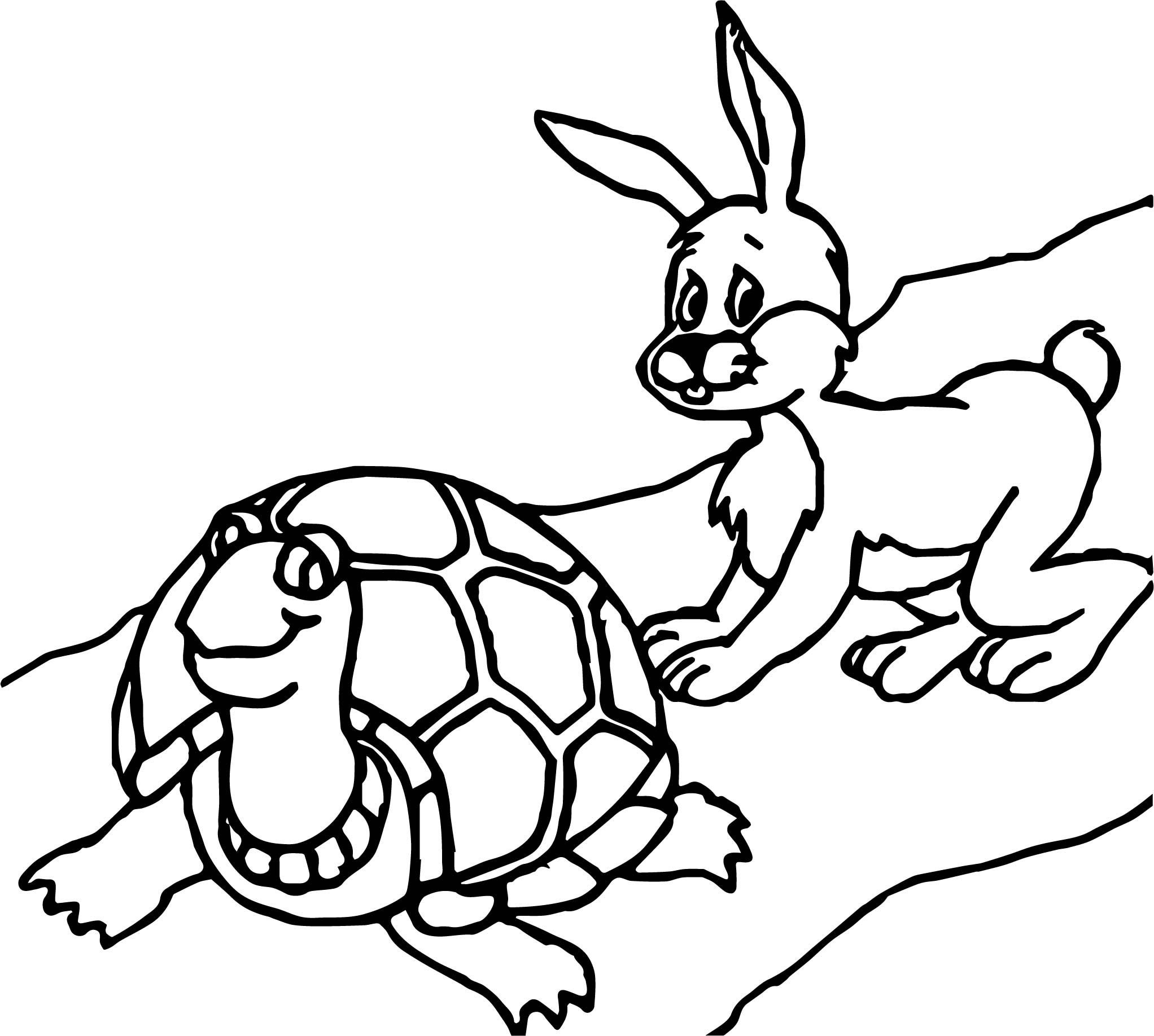 Заяц и черепаха читать. Черепашка раскраска для детей. Черепаха раскраска для детей. Заяц и черепаха раскраска. Заяц и черепаха нарисовать.