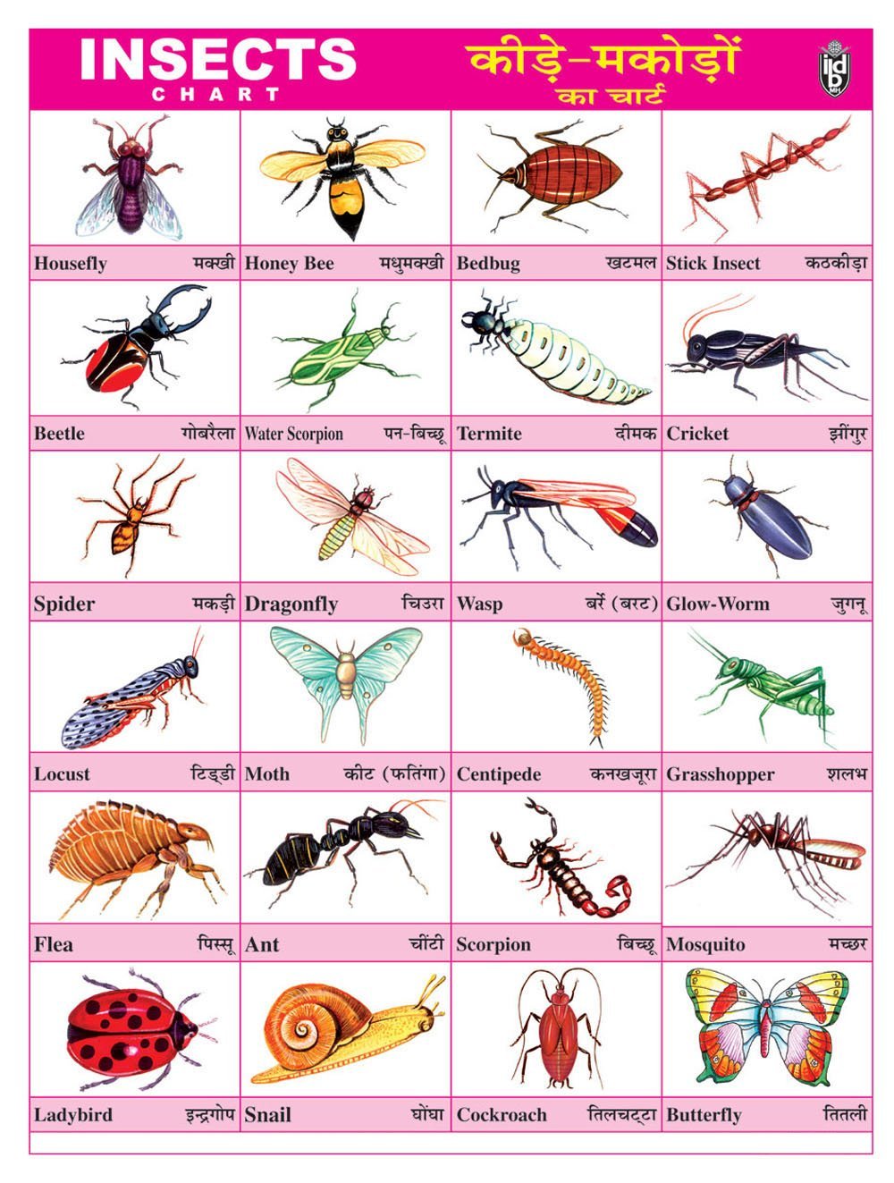 Виды насекомые список. Насекомые на английском языке. Насекомые названия. Все насекомые на английском языке. Насекомые с названиями для детей.