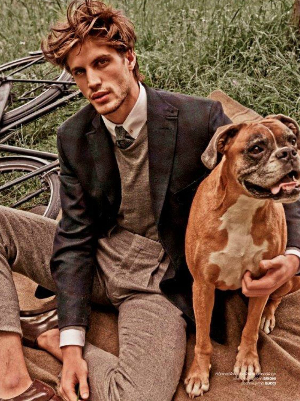 Бесплатный собака мужчина. Мужчина с собакой. Мужская фотосессия с собакой. Породистый мужчина. Стильный мужчина с собакой.