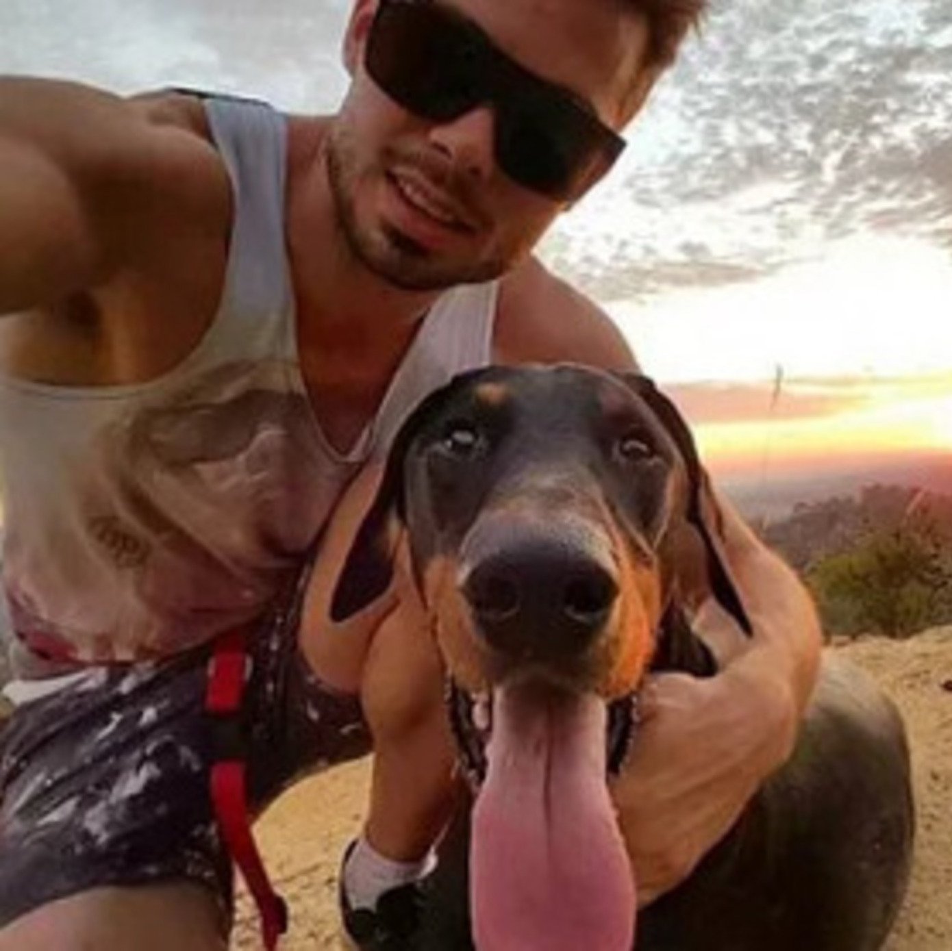 Фото с собакой как подписать в инстаграме