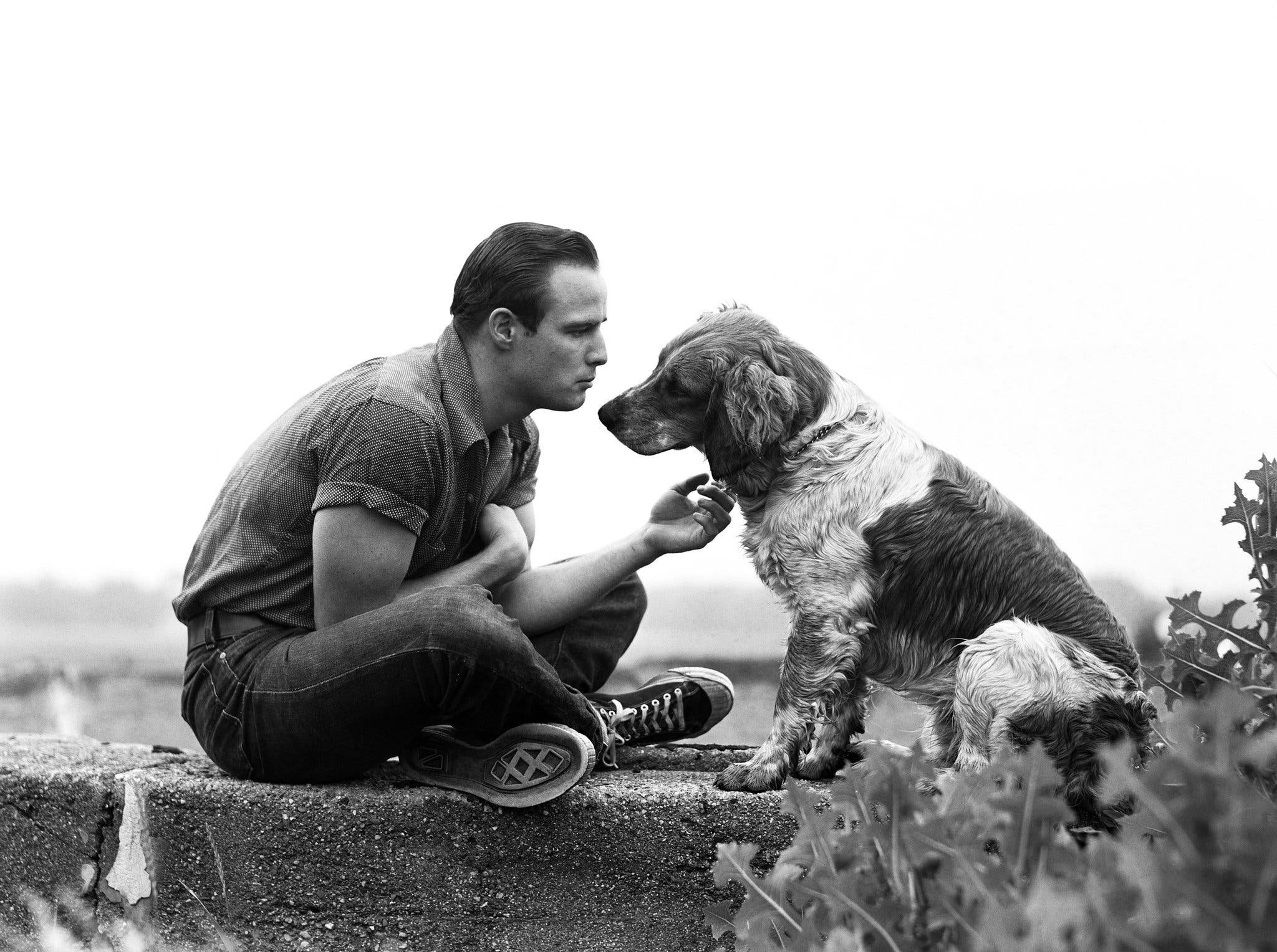 Мужчина собака в браке. Марлон Брандо 1950. Марлон Брандо питомцы. Марлон Брандо и собака. Марлон Брандо друг.