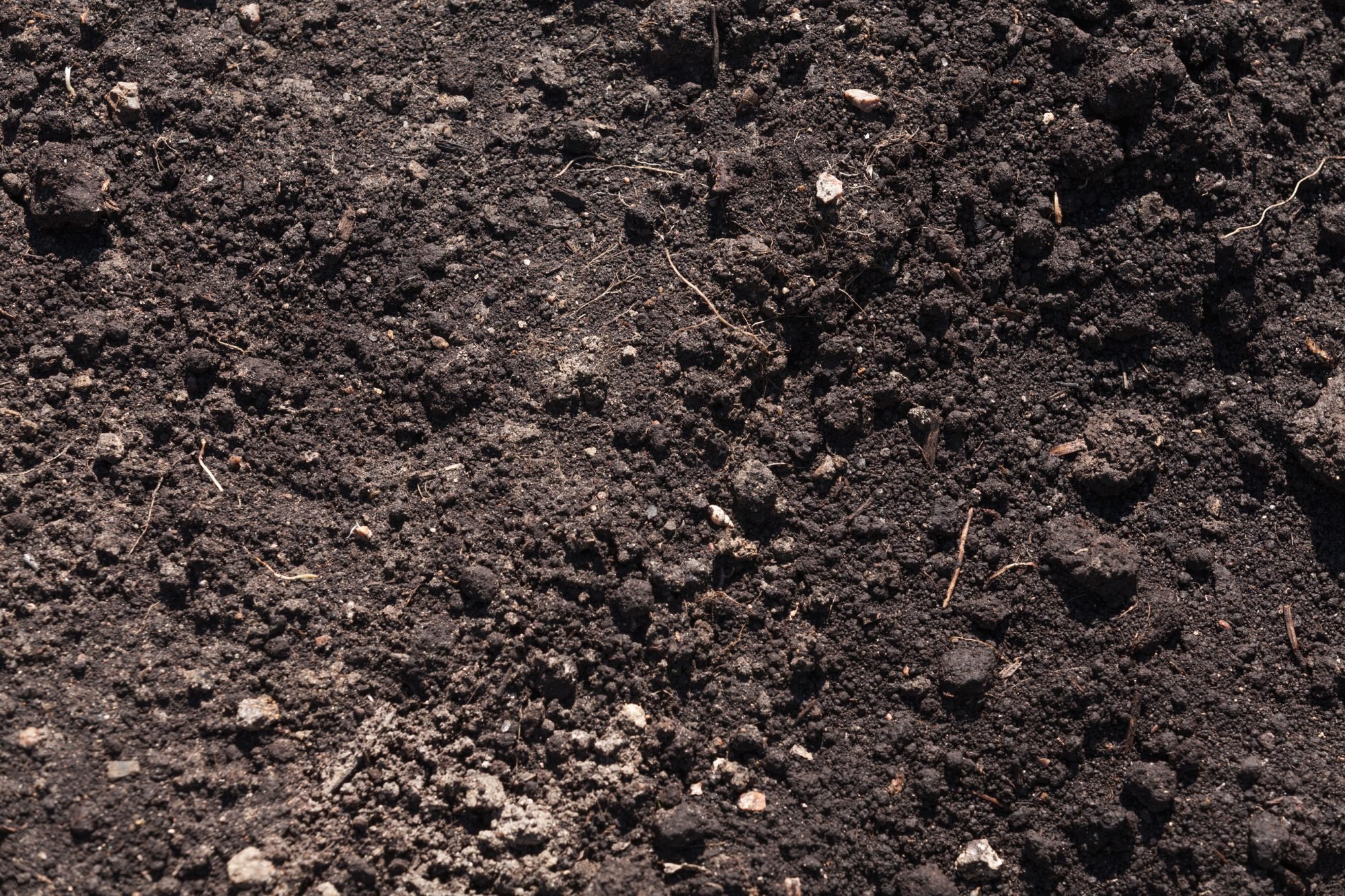 Самые богатые почвы. Чернозем текстура. Чернозем текстура бесшовная. Почва без фона. Текст про почву, чернозëмы.