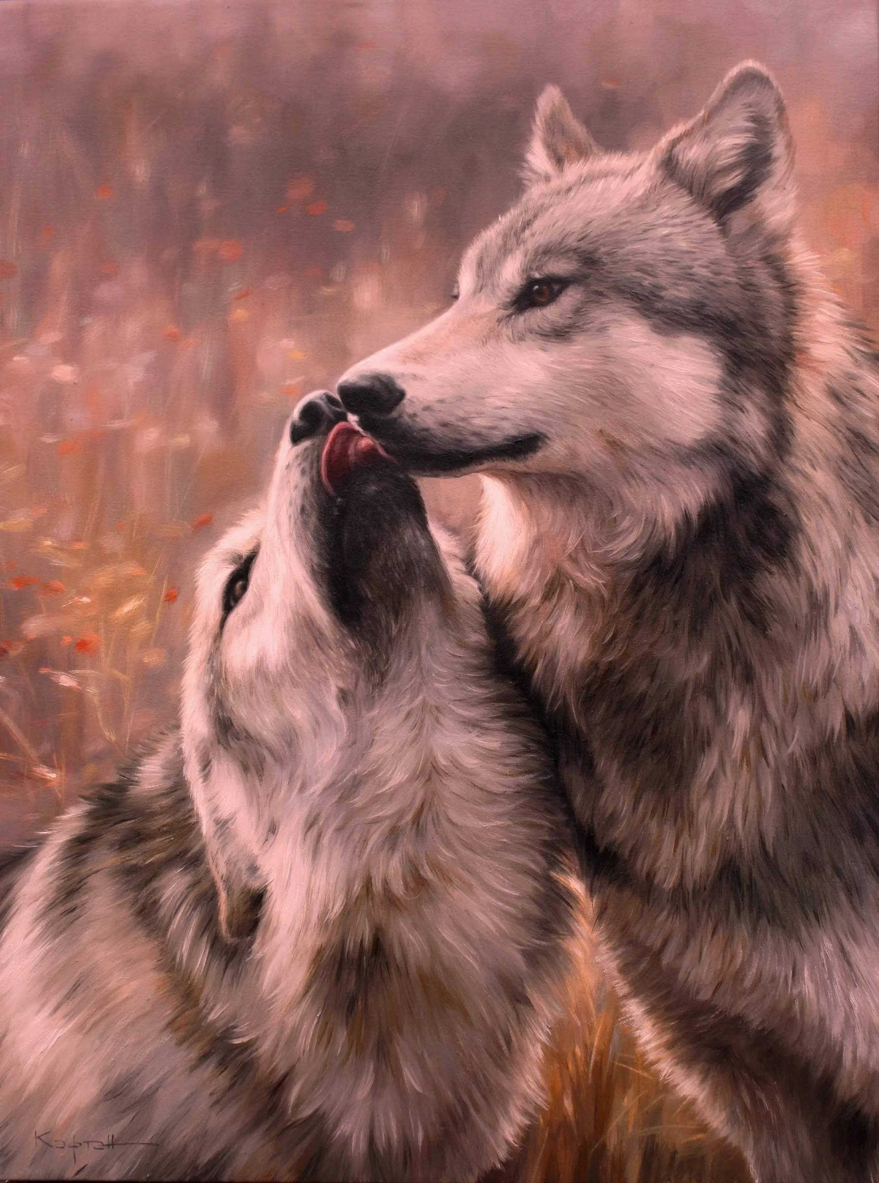фото волки пара красивые