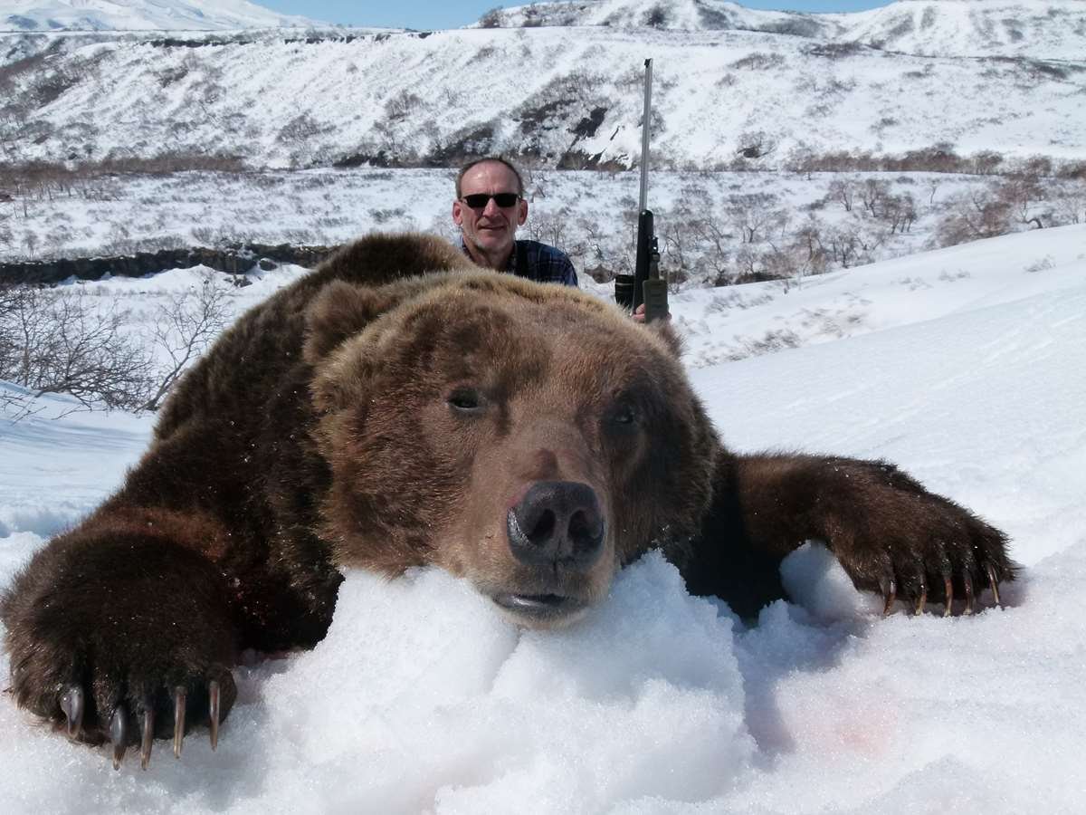 Где живет камчатский медведь. Камчатский бурый медведь. Бурый медведь Камчатки. Гризли Петропавловск Камчатский. Медведь Камчатский Камчатский бурый.