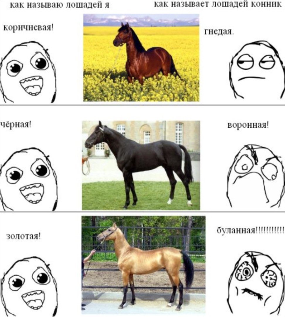 Как назвать не понимающего человека. Мемы про лошадей. Мемы с конями. Смешная лошадь. Конь Мем.