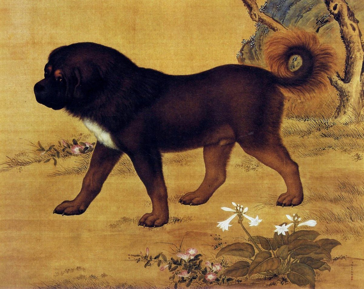 Порода самой древней собаки. Леонбергер Молоссы. Тибетский мастиф и медведь. Древний мастифф. Альпийский мастиф.