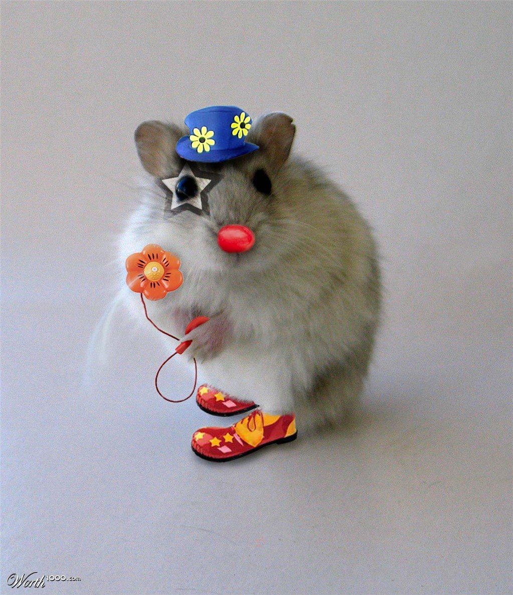 Мышка в костюме клоуна