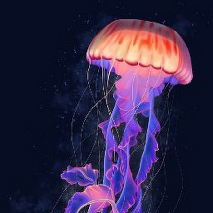 гайды по дотам медуза фото 77