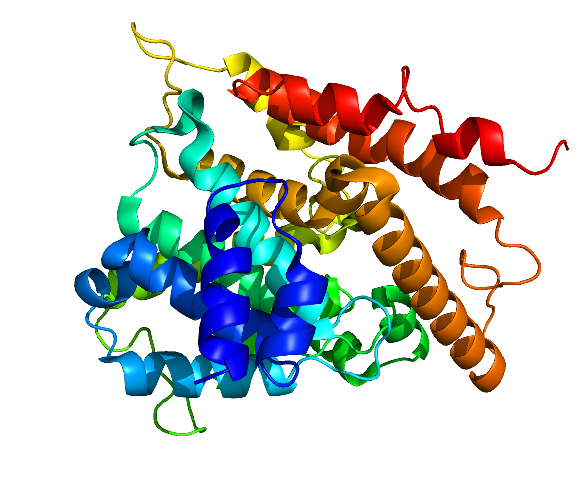Молекула пепсина. Амилаза строение белка. Пепсин структура белка. Энзим пепсин.