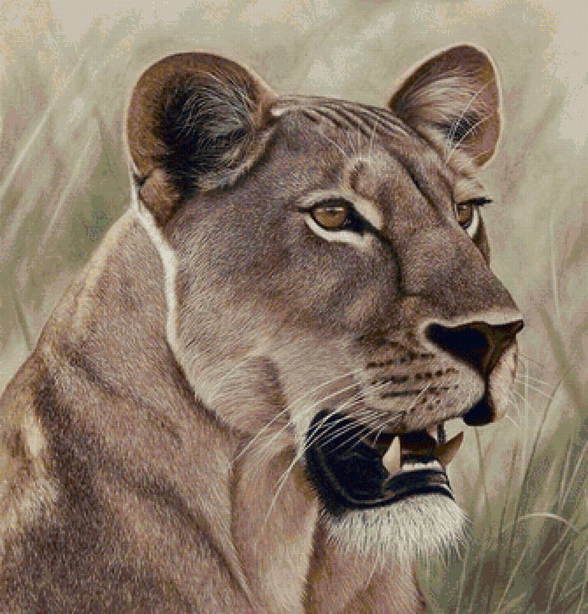 Львица рисунок