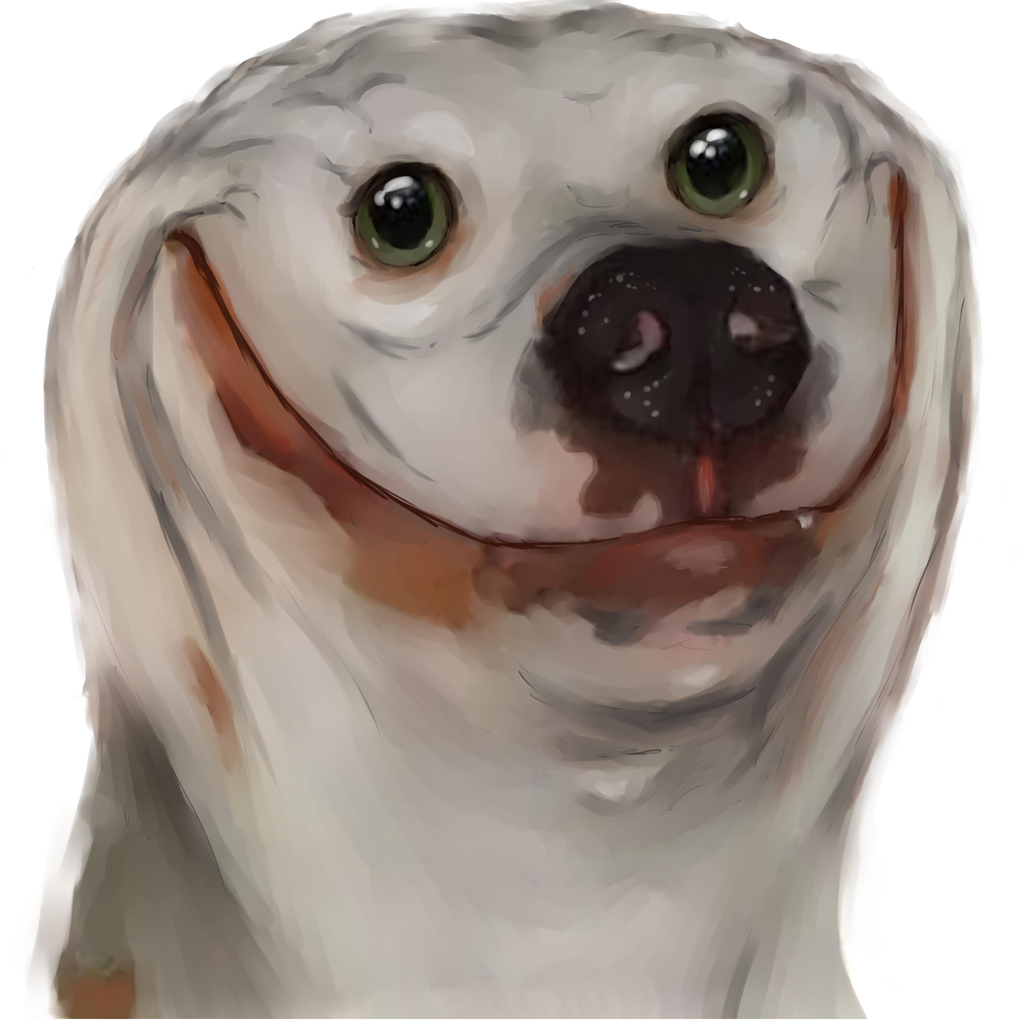 Собака улыбается. Упоротая ава. Собака улыбака аватар. Meme avatars
