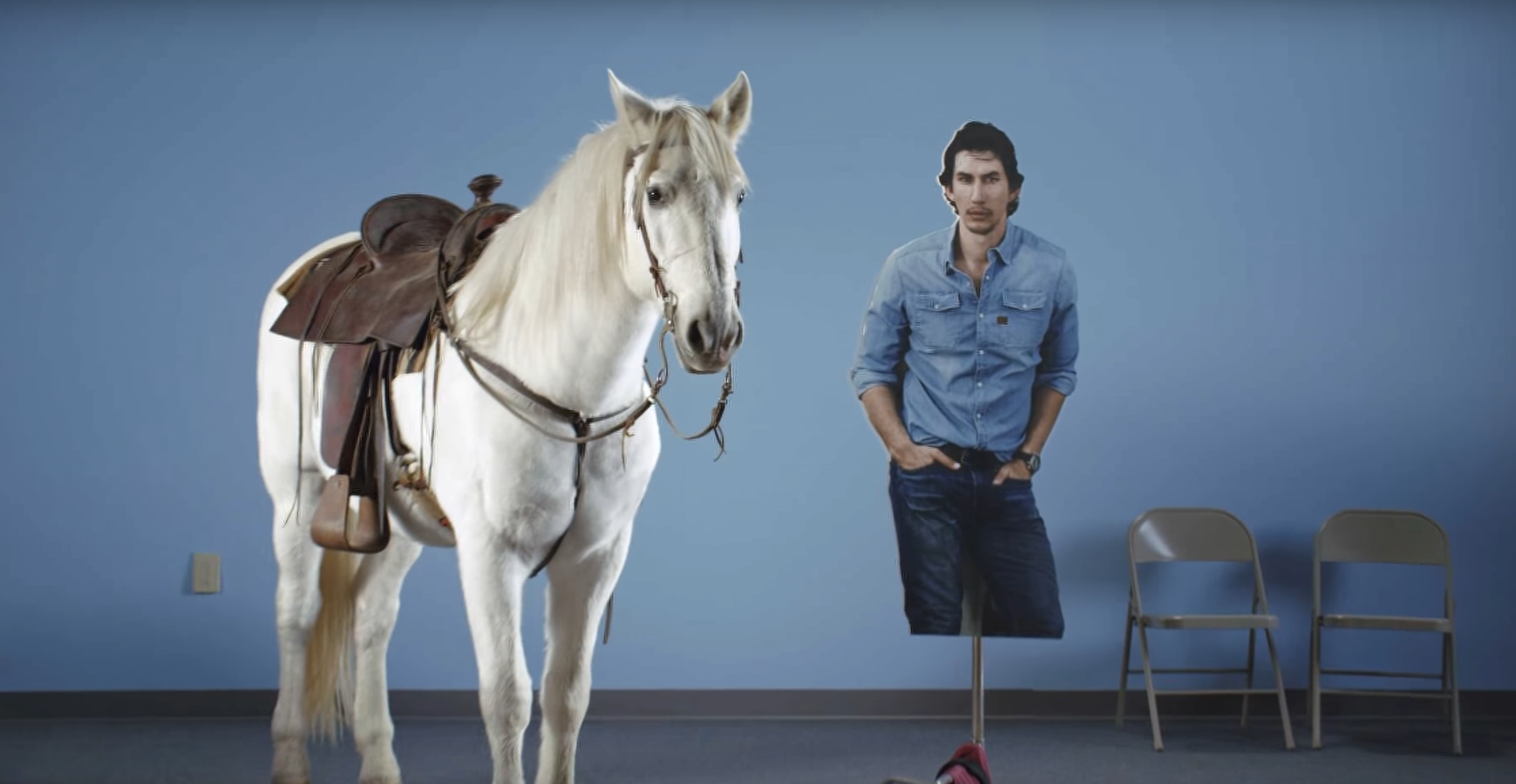 Рекламные ролики работа. Реклама с лошадью. Лошади из рекламы. На коне реклама.