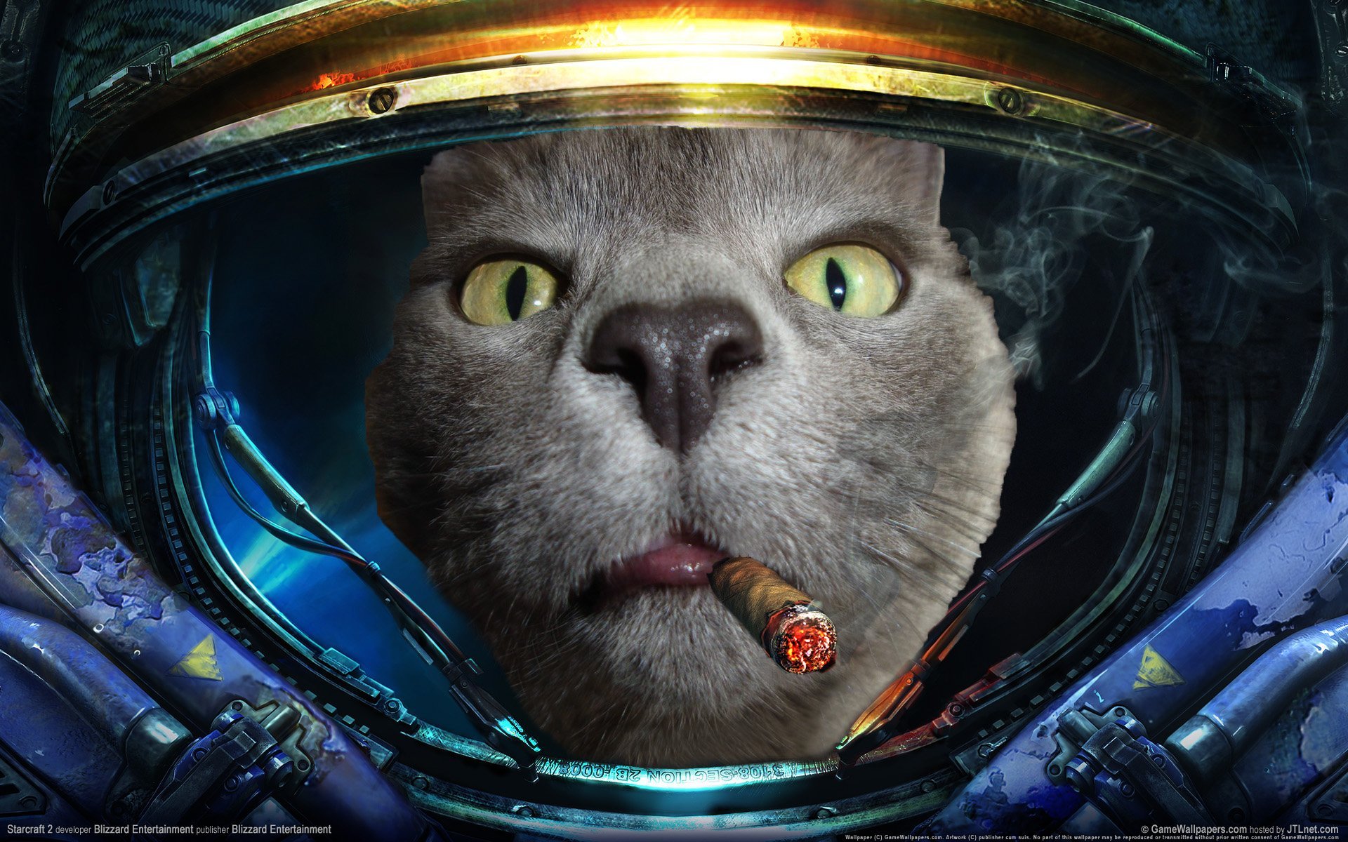 Гарфилд космический. Коты в скафандрах. Космический кот. Котик в скафандре. Кот космонавт.