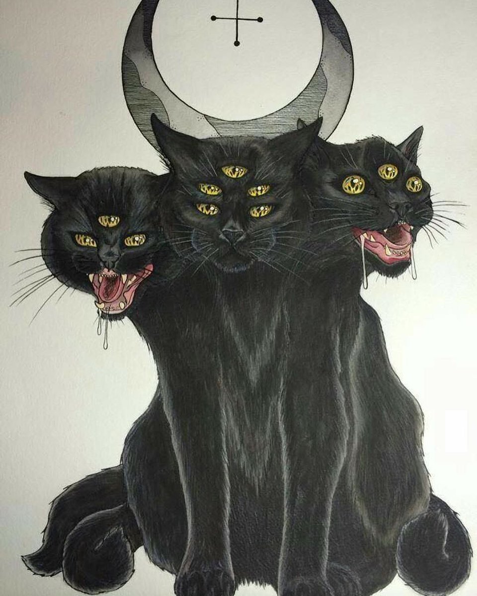 картинки котов демонов