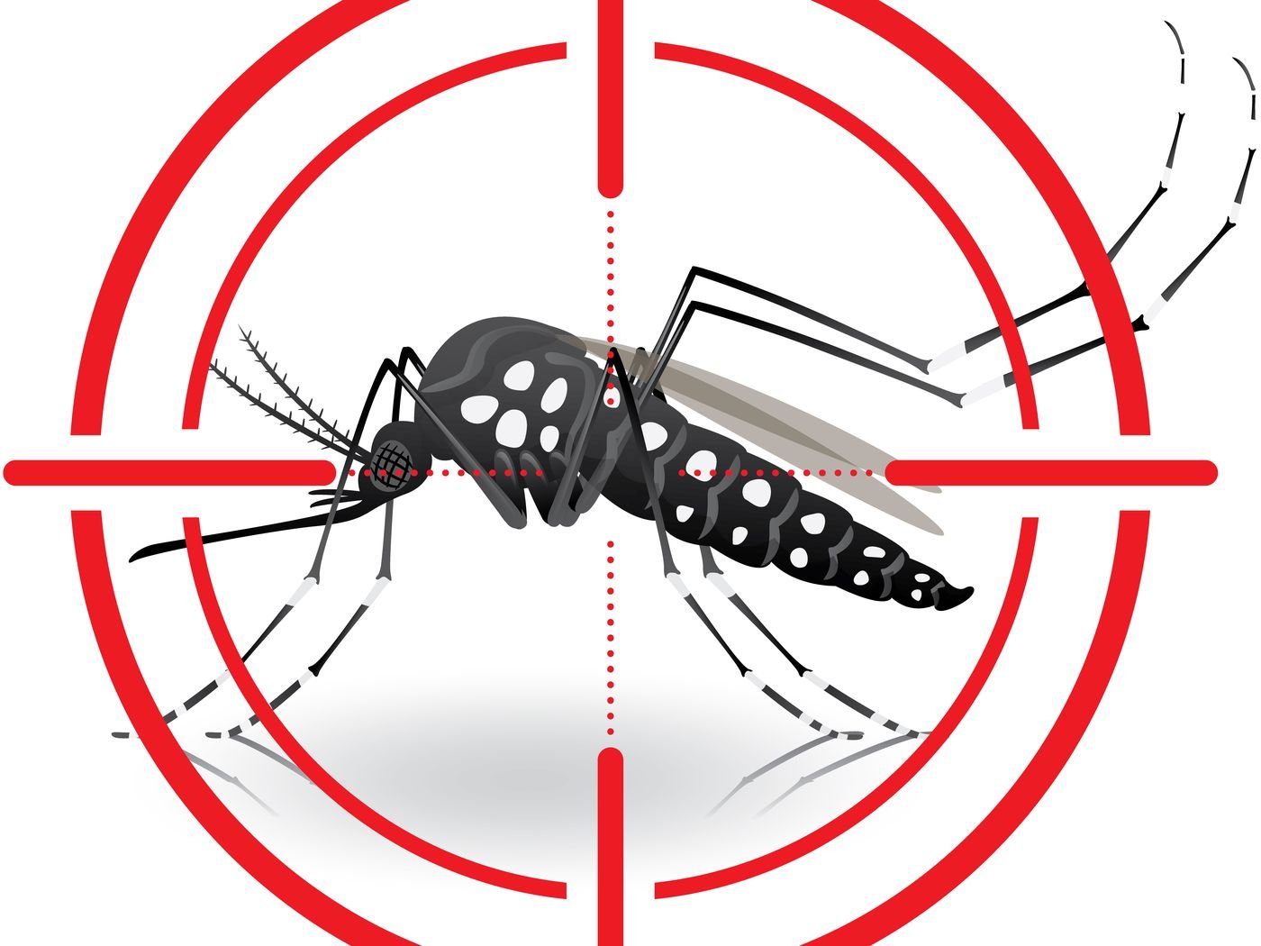 Почему для борьбы с малярией. Комары переносчики Денге. Комар картинка. Стоп комар. Комары в экосистеме.