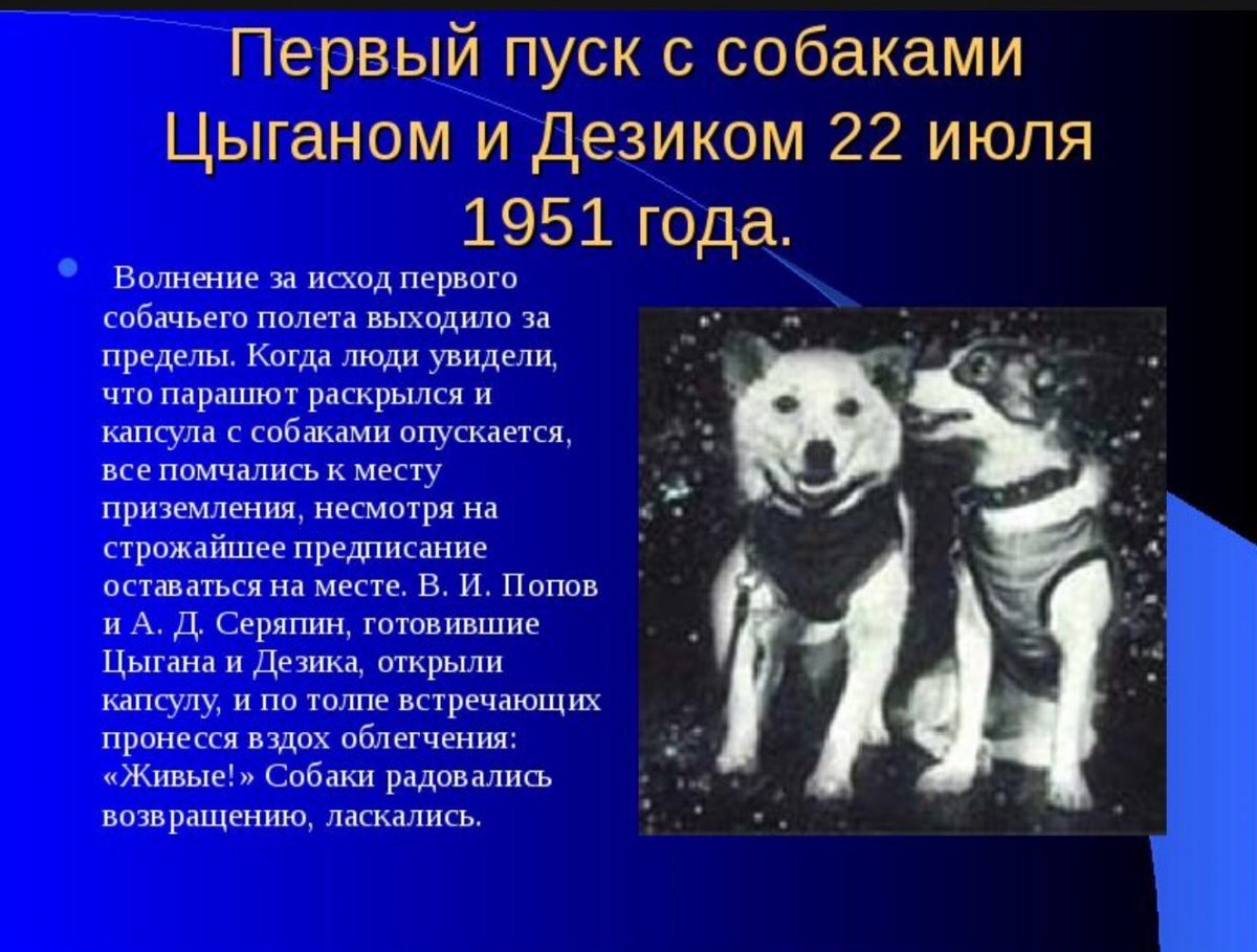 Первые собаки космонавты дезик и цыган