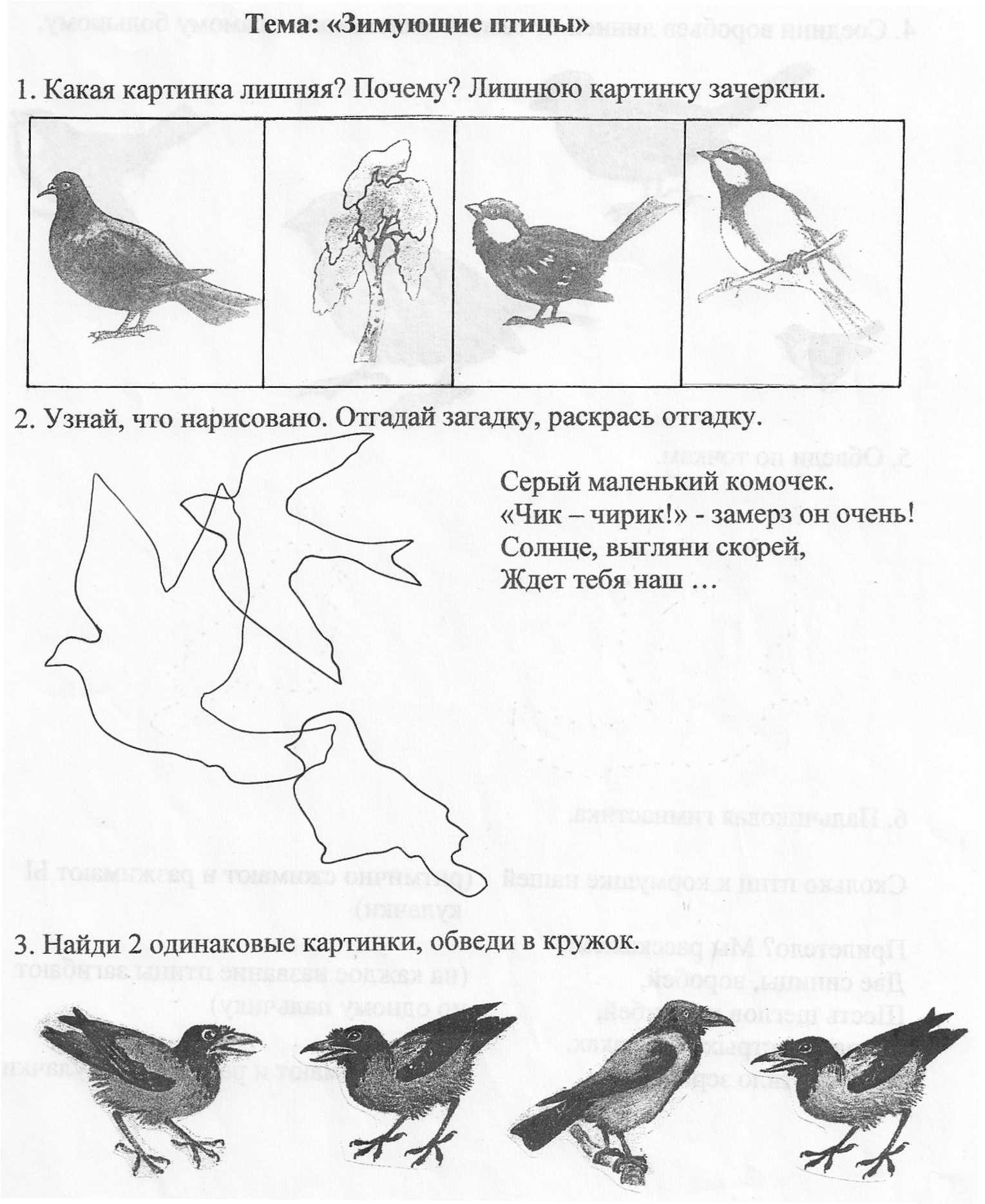 Развитие речи птицы весной подготовительная группа