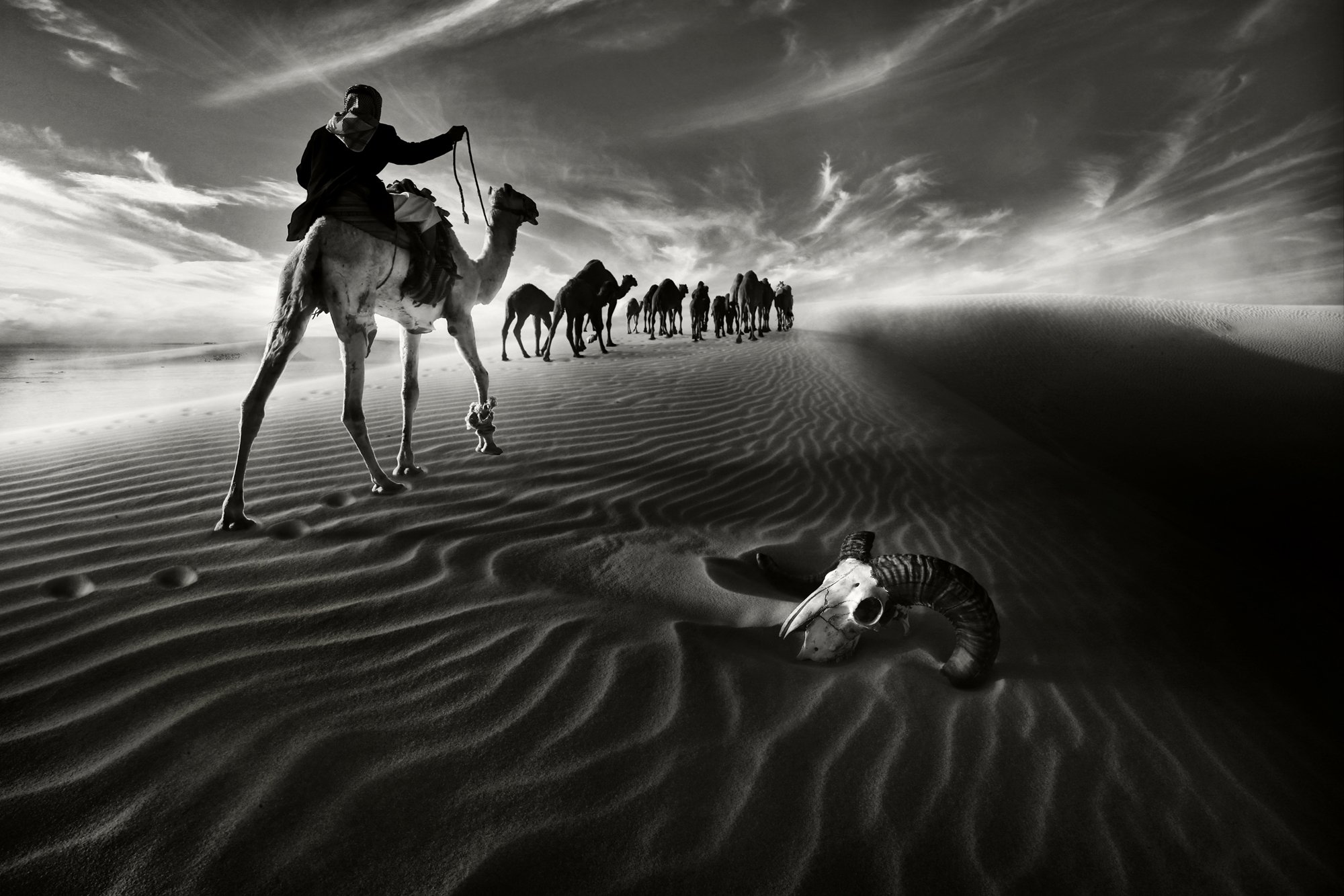 Люди каравана. Верблюды Караван. Оазис в пустыне Геншин. Караван в пустыне. Картина пустыня.