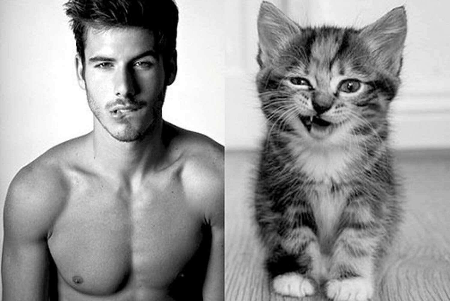 Муж слабости. Парень с котенком. Кот фотомодель. Горячие парни с котиками. Мужчины и коты.