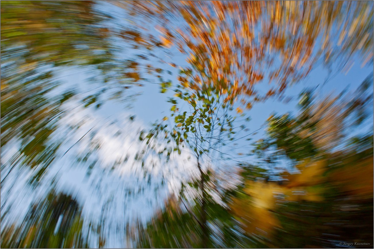 Ветер играет легкой листвою